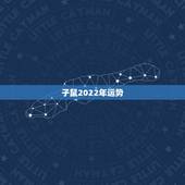 子鼠2022年运势，射手座2022运势星座运程