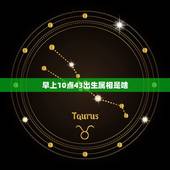 早上10点43出生属相是啥，十一月二十二上午10点43分出生五行缺什么