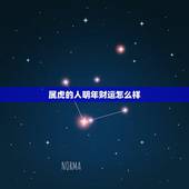属虎的人明年财运怎么样，74年属虎人2022 年运程