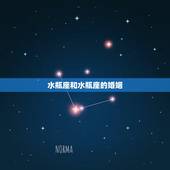 水瓶座和水瓶座的婚姻，水瓶座和巨蟹座的婚姻会长久吗？