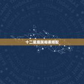 十二星座属相表婚配，星座生肖配对