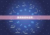 属虎的虎年运势，虎年运程以后的命运如何