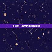 十月初一出生的男孩属相狗，属兔十月初一出生怎么样？
