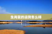 生肖鼠的运势怎么样，属鼠人2009年运程