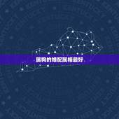 属狗的婚配属相最好，生肖属狗的能与哪些属相婚配