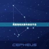 男属兔和女属牛的合不合，属兔和属牛的合不合