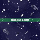 属狗属马为什么老吵架，马的更佳婚配