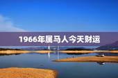 1966年属马人今天财运，1966年属马人的命运