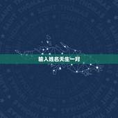 输入姓名天生一对，姓名配对邹龙珍和易能