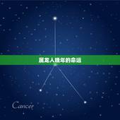 属龙人晚年的命运，属龙人一辈子的婚姻