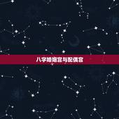 八字婚姻宫与配偶宫，八字中！哪个代表婚姻宫哪个代表夫妻宫，哪个代表自己