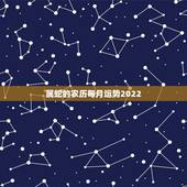 属蛇的农历每月运势2022，12生肖运势2022 年运势详解势详解