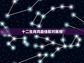 十二生肖鸡最佳配对属相，鸡跟什么生肖配对最好