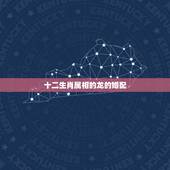 十二生肖属相的龙的婚配，93年属鸡的男性和什么属相最配