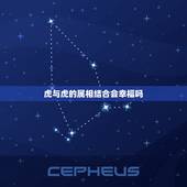 虎与虎的属相结合会幸福吗，属虎可以和属蛇的结婚吗