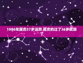 1986年属虎37岁运势 属虎的过了36岁就顺了