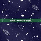 生肖蛇2022年下半年运势，属蛇人10到12月份运势免费