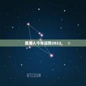 属龙人今年运势2022，2021属龙人的运势和财运