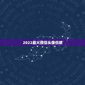 2022最火微信头像伤感，2023更流行微信头像伤心