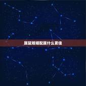 属鼠婚姻配属什么更佳，鼠的姻缘和什么更好