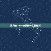 属马女1978的佩戴什么最旺财，1978年属马的和属什么的最相配？