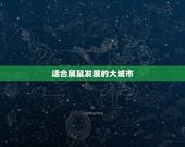 适合属鼠发展的大城市，属鼠不宜去的城市