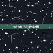 9月猪和12月鸡一起婚配，鸡和猪的配婚