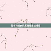 男羊和蛇女的属相适合结婚吗，1991年属羊男和属蛇女