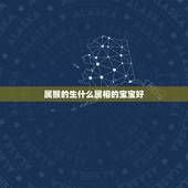属猴的生什么属相的宝宝好，属猴属马生什么属相宝宝好