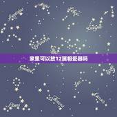 家里可以放12属相瓷器吗，十二生肖兽首摆件放家里风水行吗