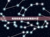 和龙和龙最配的属相是什么，属龙的和什么属相最配
