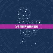 为寻猎物奔前程的属相，带得动马奔前程是什么生肖
