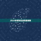 2023年有桃花运的属相猴，2023年哪生肖桃花运稳定？