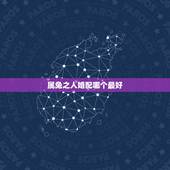 属兔之人婚配哪个最好，6月属兔的和什么属相最配