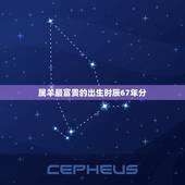 属羊最富贵的出生时辰67年分，属羊哪天出生更好命