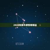 2022年属牛感情婚姻运，2023年属牛人的全年运势