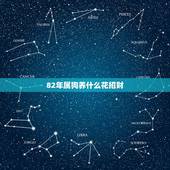 82年属狗养什么花招财，82属狗适合养什么植物