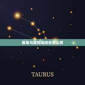 属兔与属狗相结合怎么样，属狗与属兔谁聪明