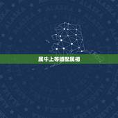 属牛上等婚配属相，属牛的和什么属相最配