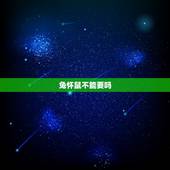 兔怀鼠不能要吗，87年兔怀了2022 鼠宝宝