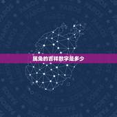 属兔的吉祥数字是多少，1963年属兔的幸运数字？
