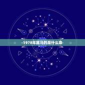 1978年属马的是什么命 78年8月的马是什么命