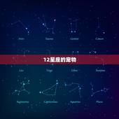 12星座的宠物，12星座的专属小宠物是？