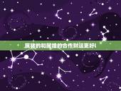 属猪的和属啥的合作财运更好l，1995年属猪的更佳配偶