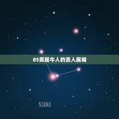 85男属牛人的贵人属相，73属牛的三大贵人