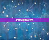 炉中火命哪年出生，山头火是哪年出生的人