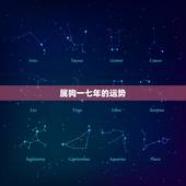 属狗一七年的运势，全家都属狗2010年的运程