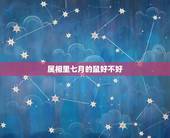 属相里七月的鼠好不好，为什么都说属鼠的不好