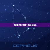 属龙2022年12月运势，属龙的人2011年运势如何