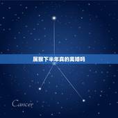 属猴下半年真的离婚吗，今年容易离婚的生肖